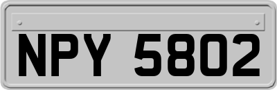 NPY5802