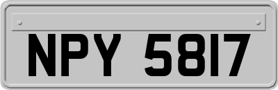 NPY5817