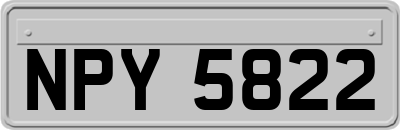 NPY5822