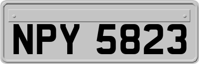 NPY5823