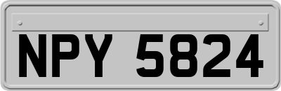NPY5824
