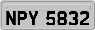 NPY5832