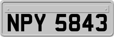 NPY5843