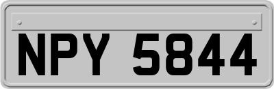 NPY5844