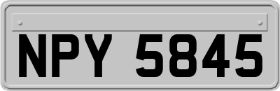 NPY5845