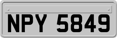 NPY5849