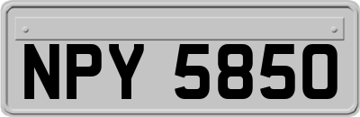NPY5850