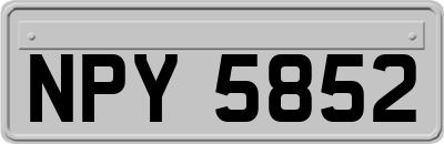NPY5852
