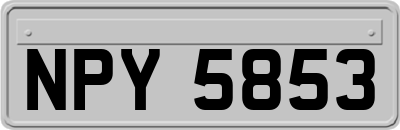 NPY5853