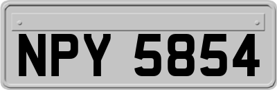 NPY5854