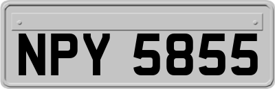 NPY5855
