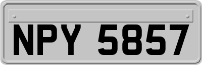 NPY5857