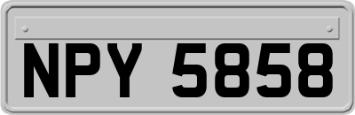 NPY5858