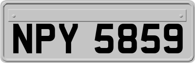 NPY5859