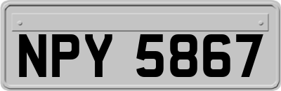 NPY5867