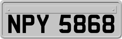 NPY5868