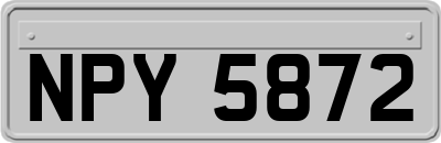NPY5872