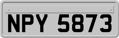 NPY5873