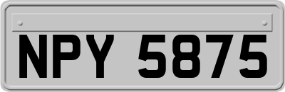 NPY5875