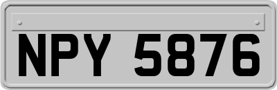 NPY5876