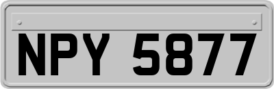 NPY5877
