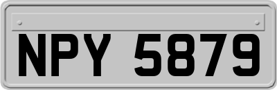 NPY5879