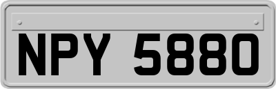 NPY5880