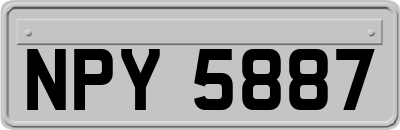 NPY5887