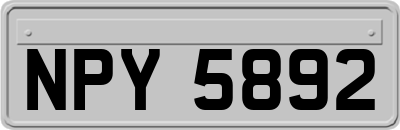 NPY5892