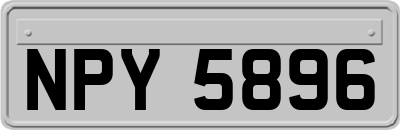 NPY5896