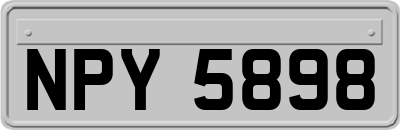 NPY5898