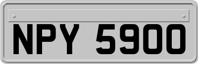 NPY5900