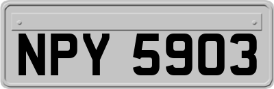 NPY5903