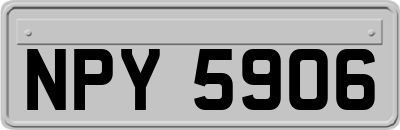 NPY5906