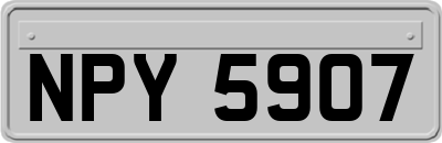 NPY5907