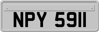NPY5911