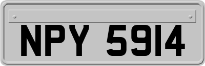NPY5914