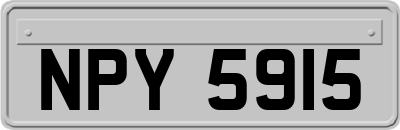 NPY5915
