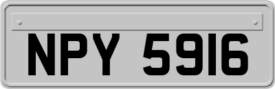 NPY5916
