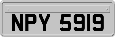 NPY5919