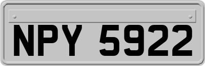 NPY5922