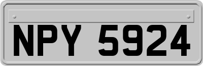 NPY5924