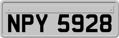 NPY5928