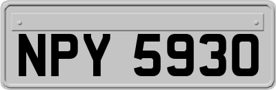 NPY5930