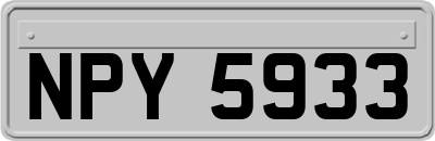 NPY5933