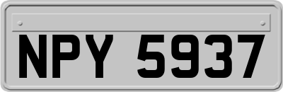 NPY5937