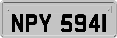 NPY5941