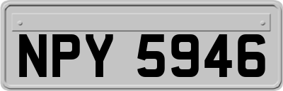 NPY5946