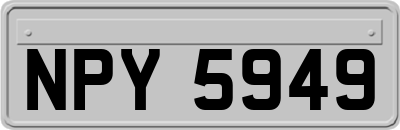 NPY5949