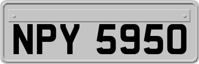 NPY5950